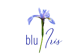 Blue Iris 5.4.3.11 Crack Keygen Full Torrent Download [Latest]