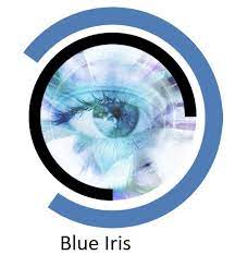 Blue Iris 5.6.3.3 Crack